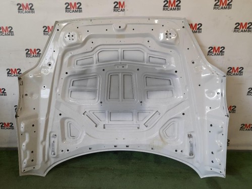 Cofano ANT Bmw Z4 E89 Cabrio 2009