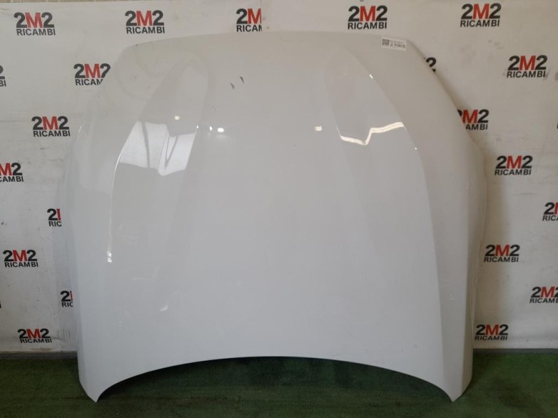 Cofano ANT Bmw Z4 E89 Cabrio 2009