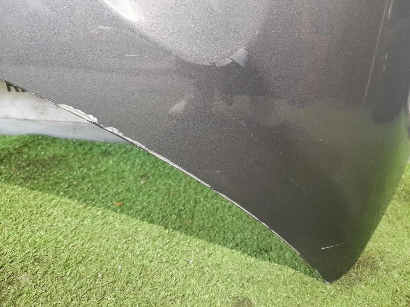 Cofano ANT 9828630980 Citroen C3 III 2016