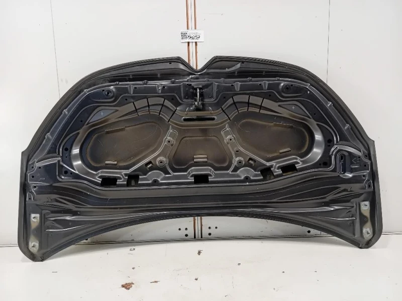 Cofano ANT 9828630980 Citroen C3 III 2016