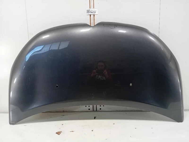 Cofano ANT 9828630980 Citroen C3 III 2016