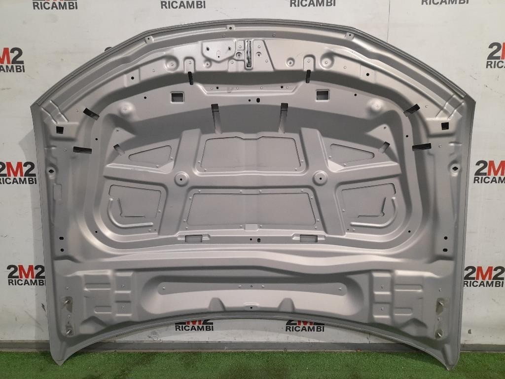 Cofano ANT ANNO 2021 Citroen DS4 I 2016