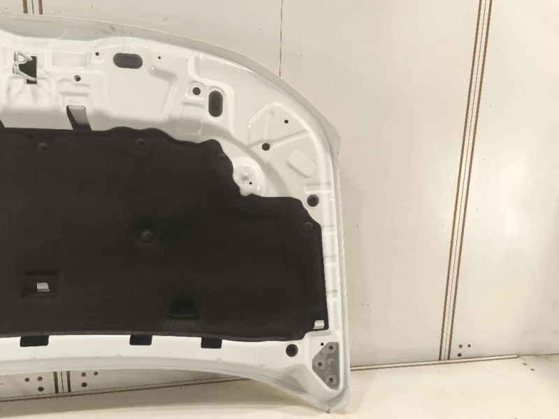 Cofano ANT 651008347R Dacia Duster II 2018