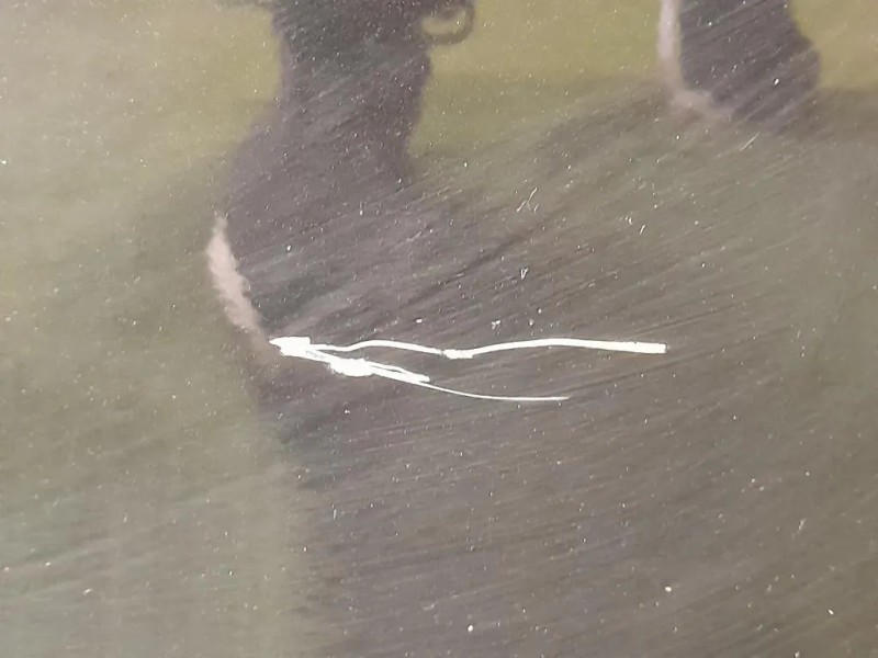 Porta POST DX 41009628756 Bmw Serie 5 F10 Berlina 2010