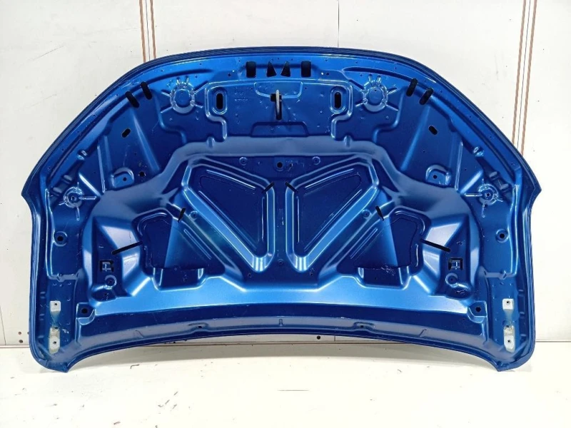 Cofano ANT 651005909R Dacia Sandero III 2020