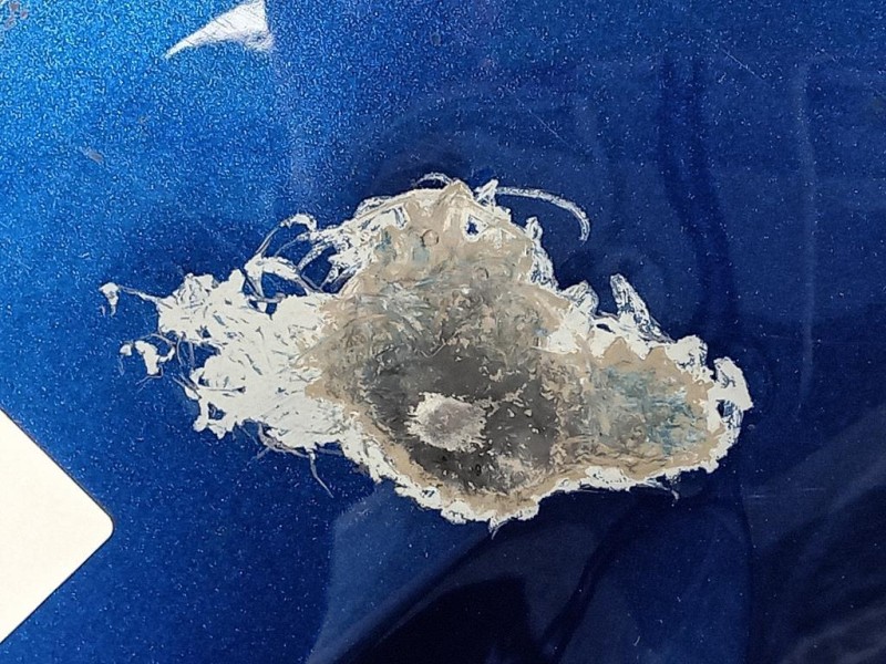 Cofano ANT 651005909R Dacia Sandero III 2020