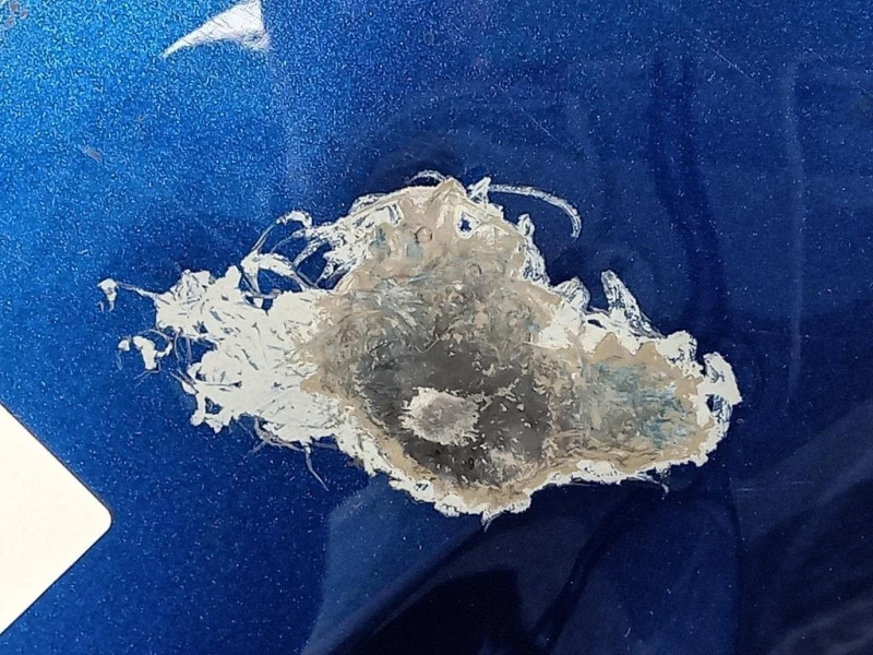 Cofano ANT 651005909R Dacia Sandero III 2020