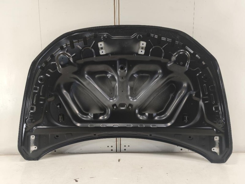 Cofano ANT 651224730R Dacia Sandero Stepway III 2020