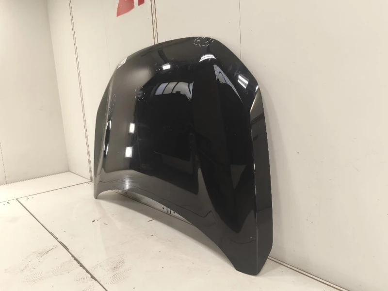 Cofano ANT 651224730R Dacia Sandero Stepway III 2020