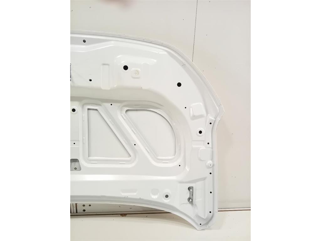 Cofano ANT COFANO ANT Dacia Spring 2020