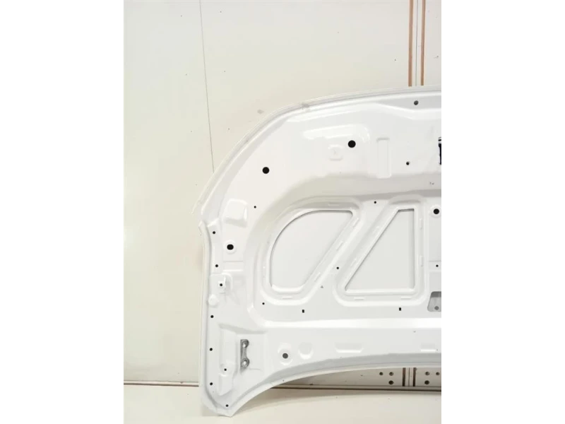 Cofano ANT COFANO ANT Dacia Spring 2020