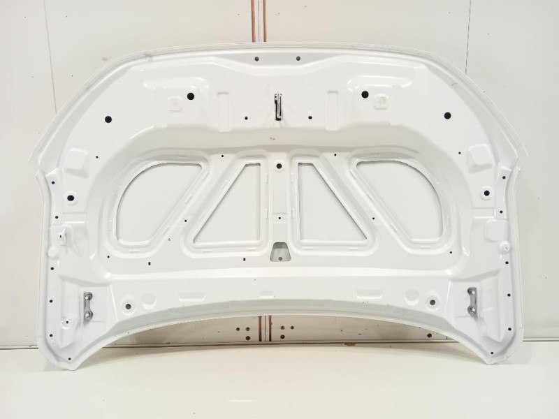 Cofano ANT COFANO ANT Dacia Spring 2020