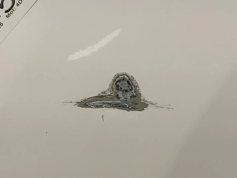 Cofano ANT COFANO ANT Dacia Spring 2020