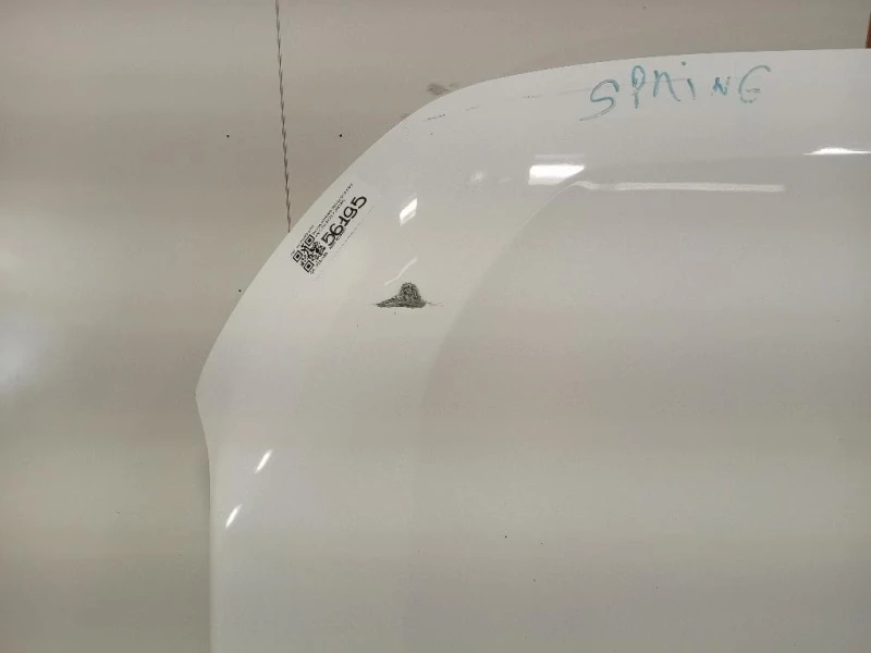 Cofano ANT COFANO ANT Dacia Spring 2020