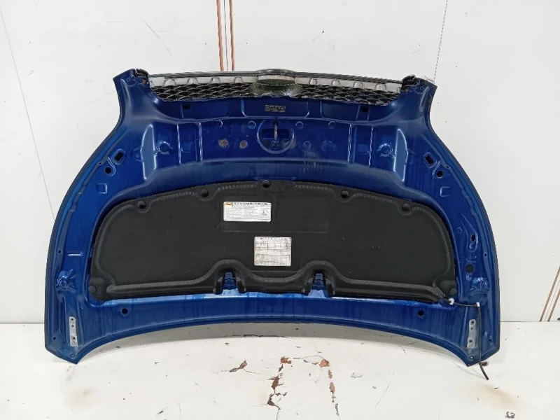 Cofano ANT 53301B4020 Daihatsu Terios II 2009