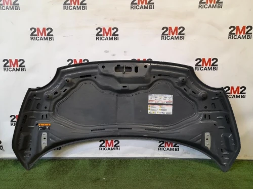 Cofano ANT Fiat 500 C 2015