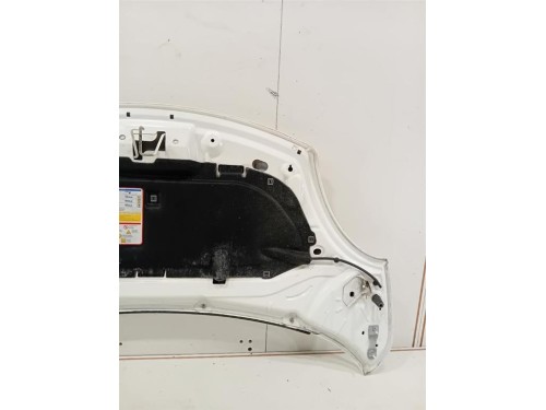 Cofano ANT 1689787180 Fiat 500L 2013