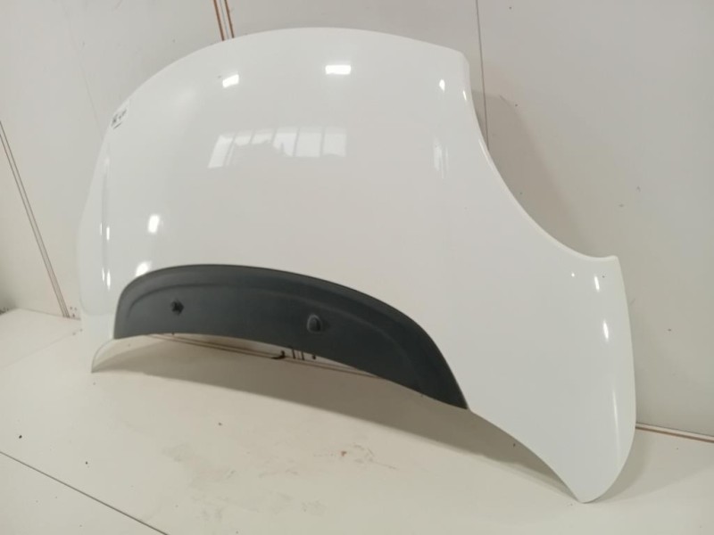 Cofano ANT 1689787180 Fiat 500L 2013