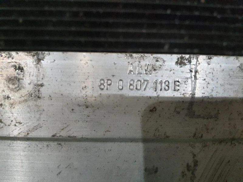 Rivestimento Frontale ANT Audi A3 8P1 2004