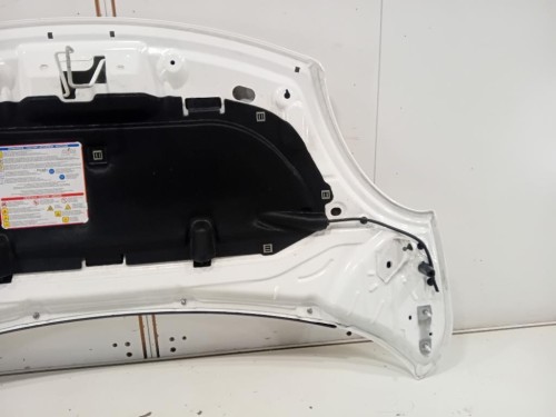 Cofano ANT 1689787180 Fiat 500L 2013