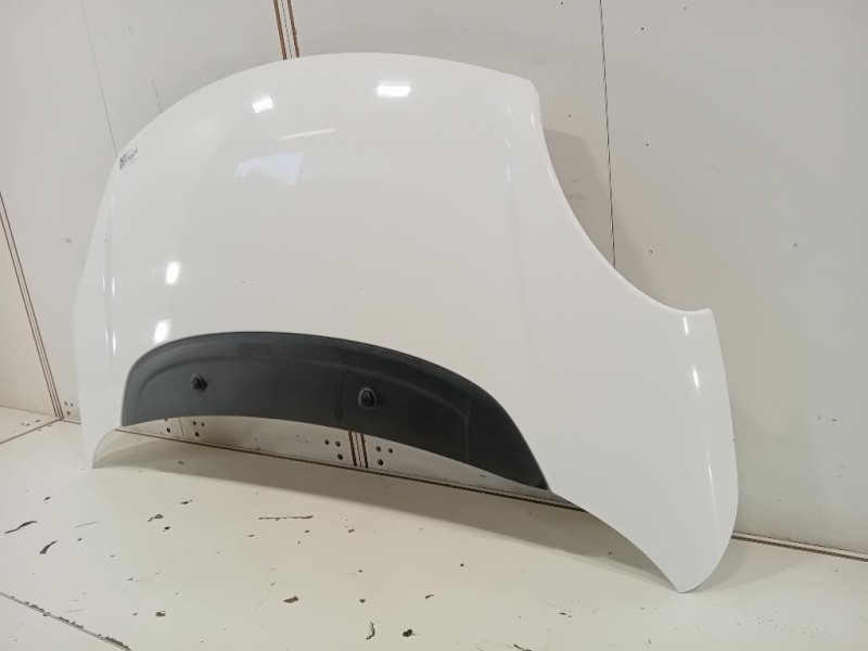 Cofano ANT 1689787180 Fiat 500L 2013