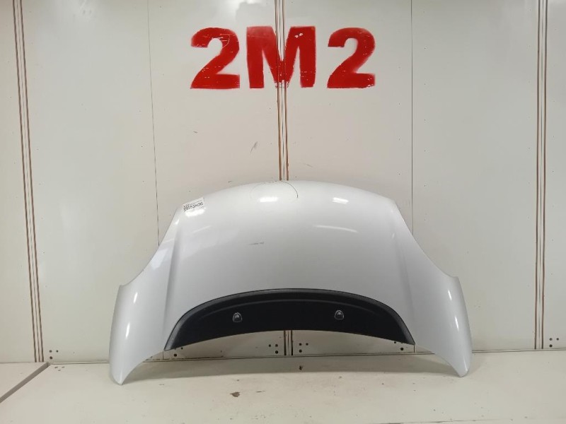 Cofano ANT 1689787180 Fiat 500L 2013