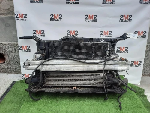 Rivestimento Frontale ANT 8K0805594L Audi A4 8K2 2008