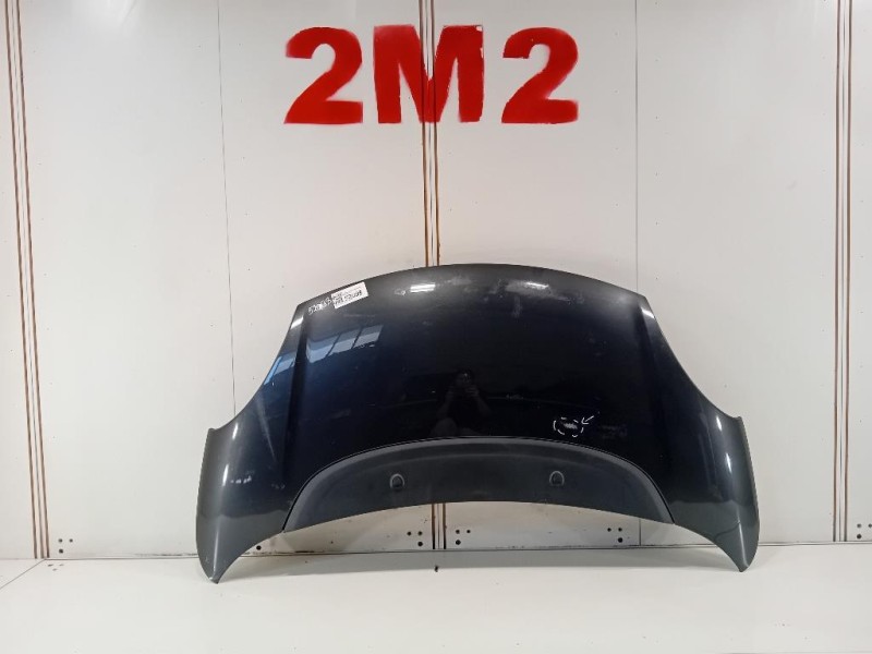 Cofano ANT 1689787180 Fiat 500L 2013