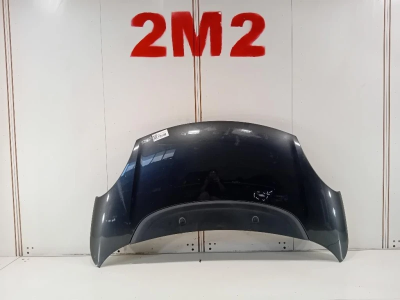 Cofano ANT 1689787180 Fiat 500L 2013