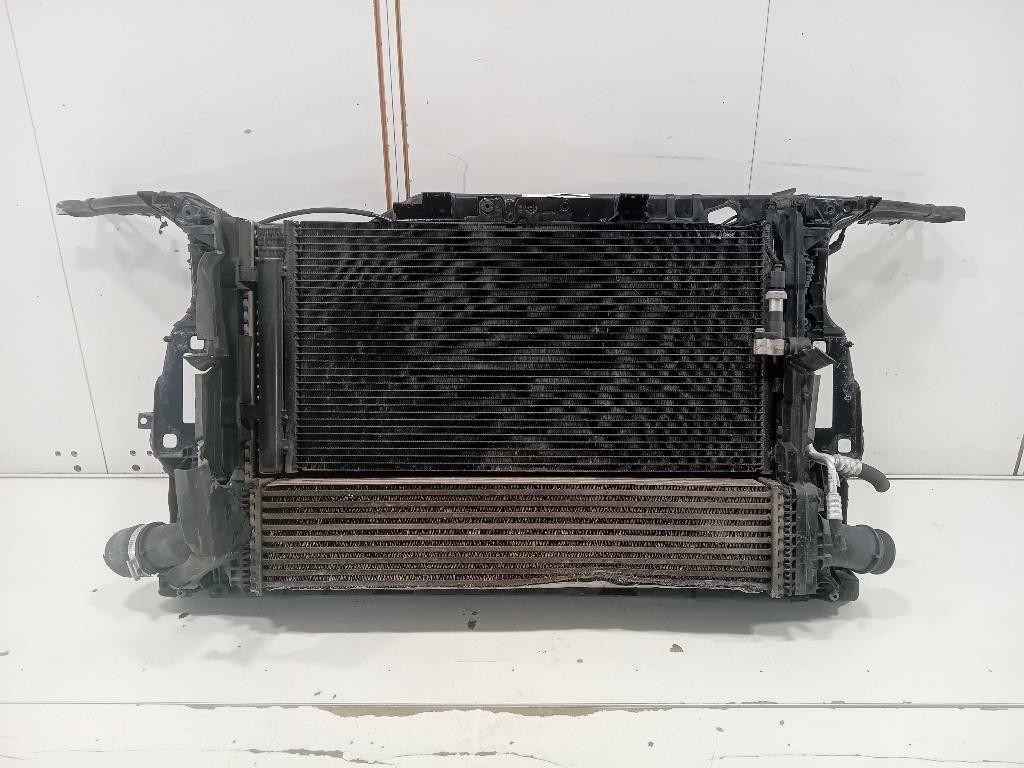 Rivestimento Frontale ANT RIVESTIMENTO FRONTALE ANT Audi A5 8TA Sportback 2012