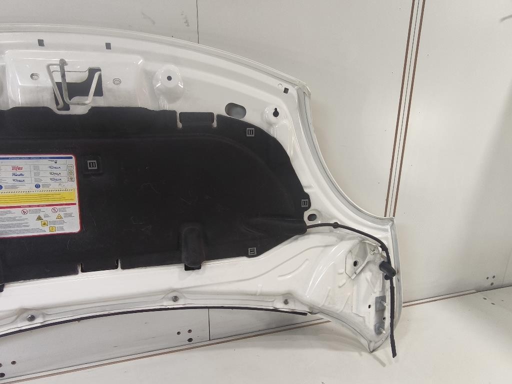 Cofano ANT 1689787180 Fiat 500L 2013