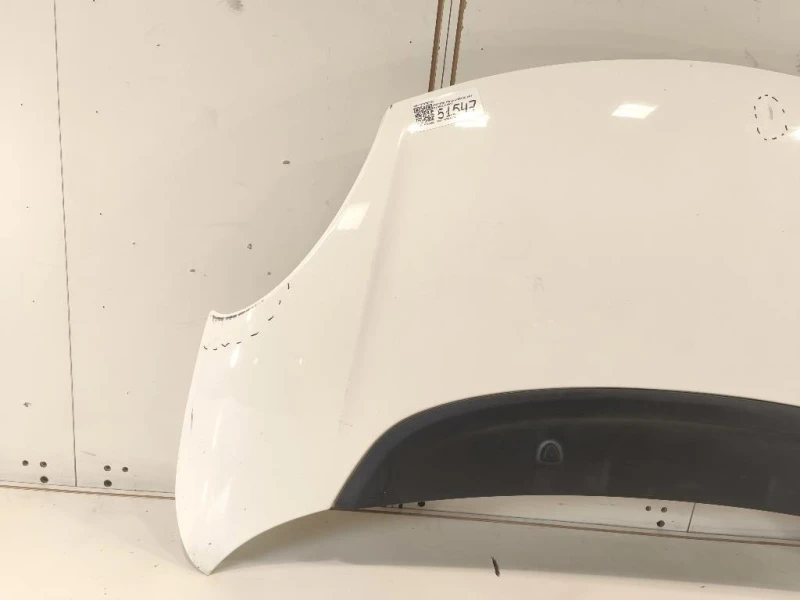 Cofano ANT 1689787180 Fiat 500L 2013