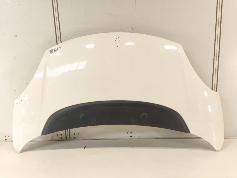 Cofano ANT 1689787180 Fiat 500L 2013