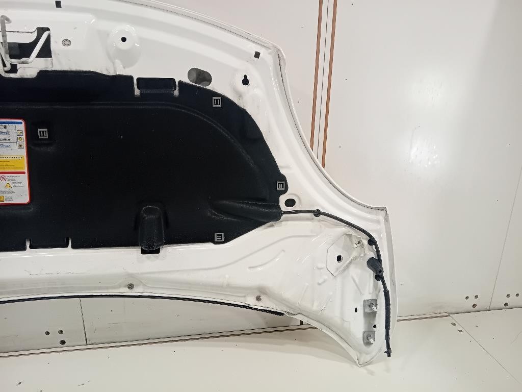 Cofano ANT 1689787180 Fiat 500L 2013