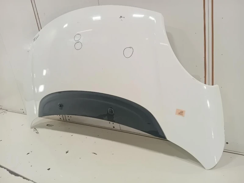 Cofano ANT 1689787180 Fiat 500L 2013