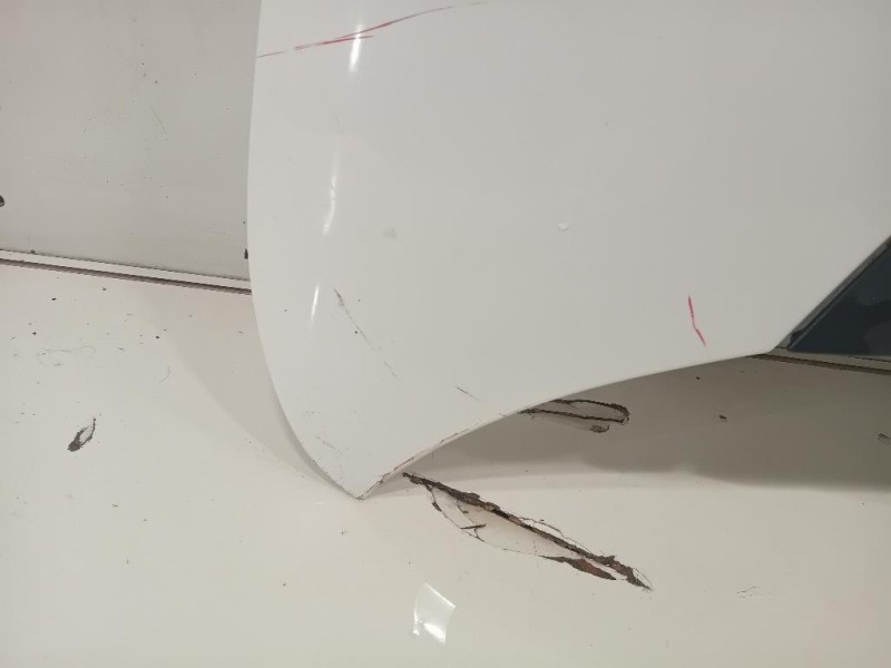 Cofano ANT 1689787180 Fiat 500L 2013