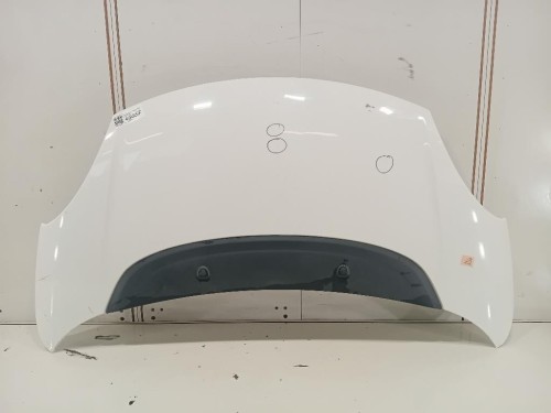 Cofano ANT 1689787180 Fiat 500L 2013