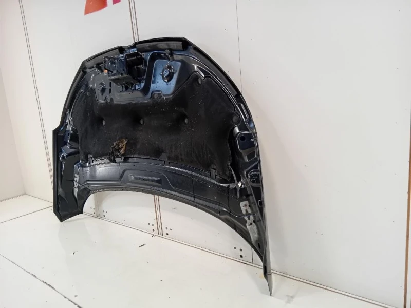 Cofano ANT 2577534 Ford Ecosport 2017