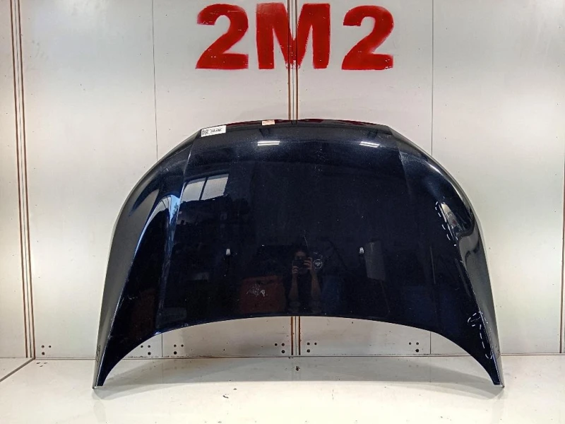 Cofano ANT 2577534 Ford Ecosport 2017