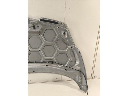 Cofano ANT 2002312 Ford Fiesta VI 2008