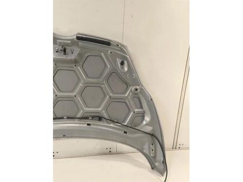 Cofano ANT 2002312 Ford Fiesta VI 2008