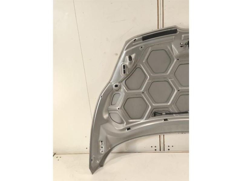 Cofano ANT 2002312 Ford Fiesta VI 2008