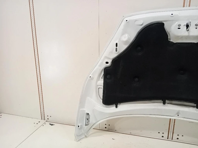 Cofano ANT 2002312 Ford Fiesta VI 2012