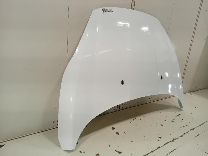 Cofano ANT 2002312 Ford Fiesta VI 2012