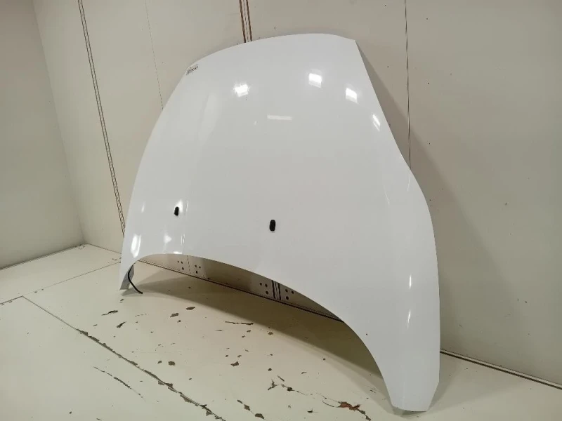 Cofano ANT 2002312 Ford Fiesta VI 2012