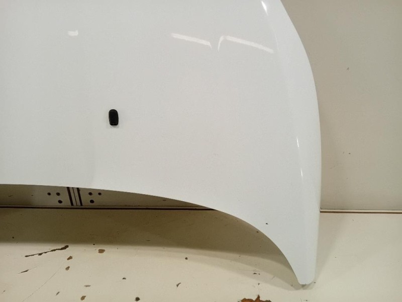 Cofano ANT 2002312 Ford Fiesta VI 2012