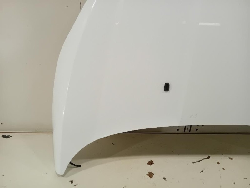 Cofano ANT 2002312 Ford Fiesta VI 2012