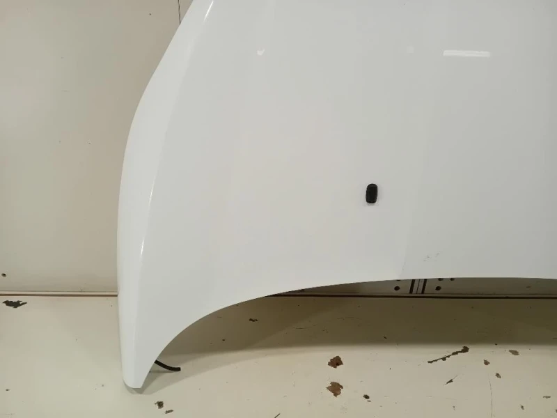 Cofano ANT 2002312 Ford Fiesta VI 2012