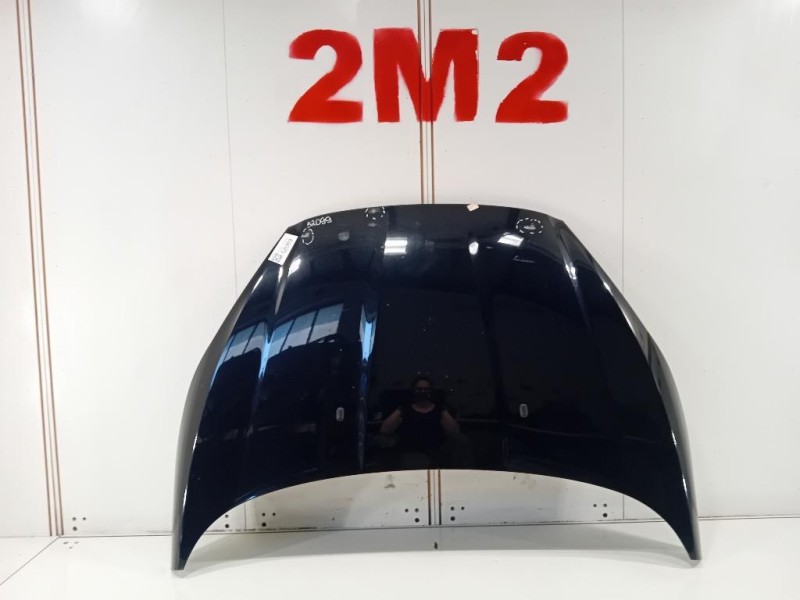 Cofano ANT 2002312 Ford Fiesta VI VAN 2012