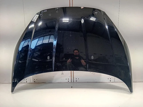 Cofano ANT 2002312 Ford Fiesta VI VAN 2012